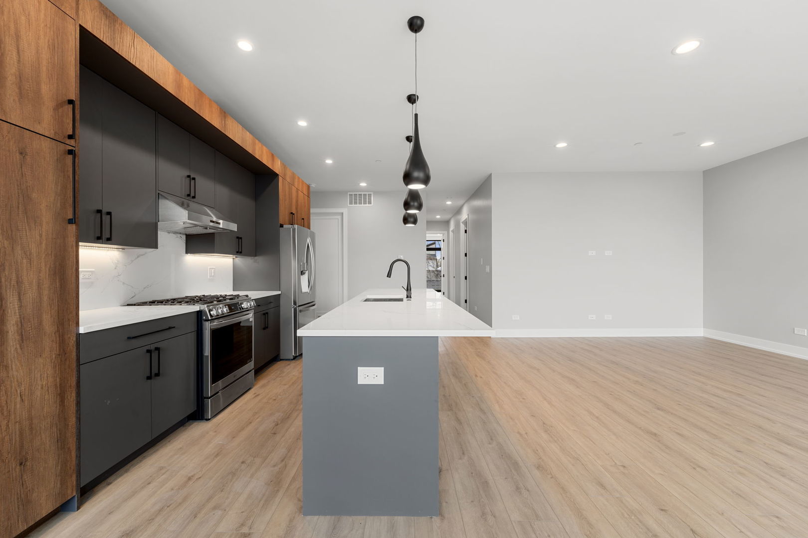 1718 S Halsted Street #201, Chicago, IL 60608