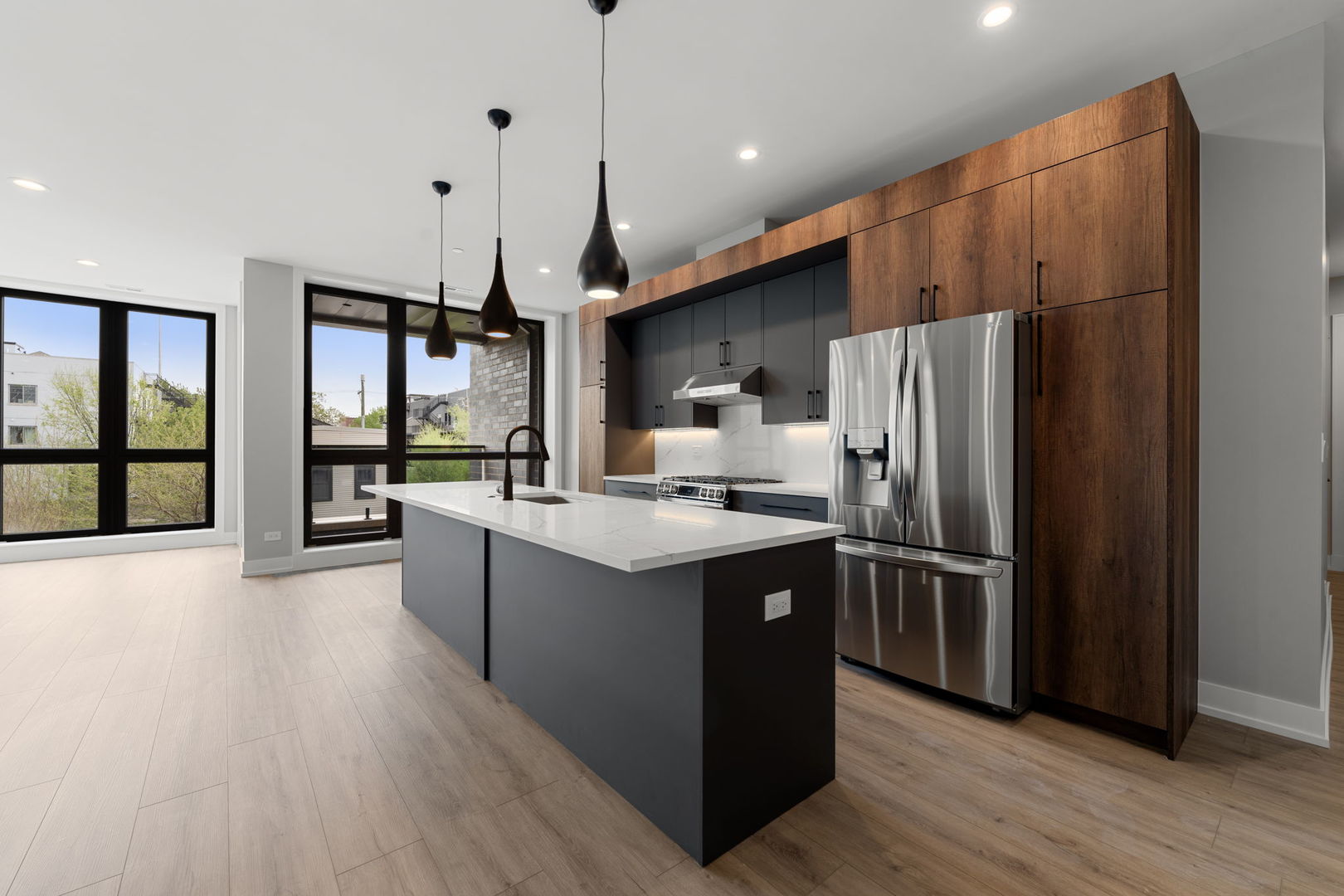 1718 S Halsted Street #201, Chicago, IL 60608