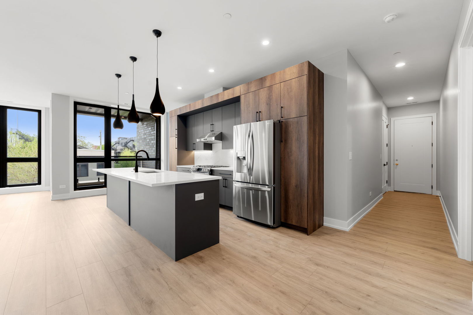 1718 S Halsted Street #201, Chicago, IL 60608