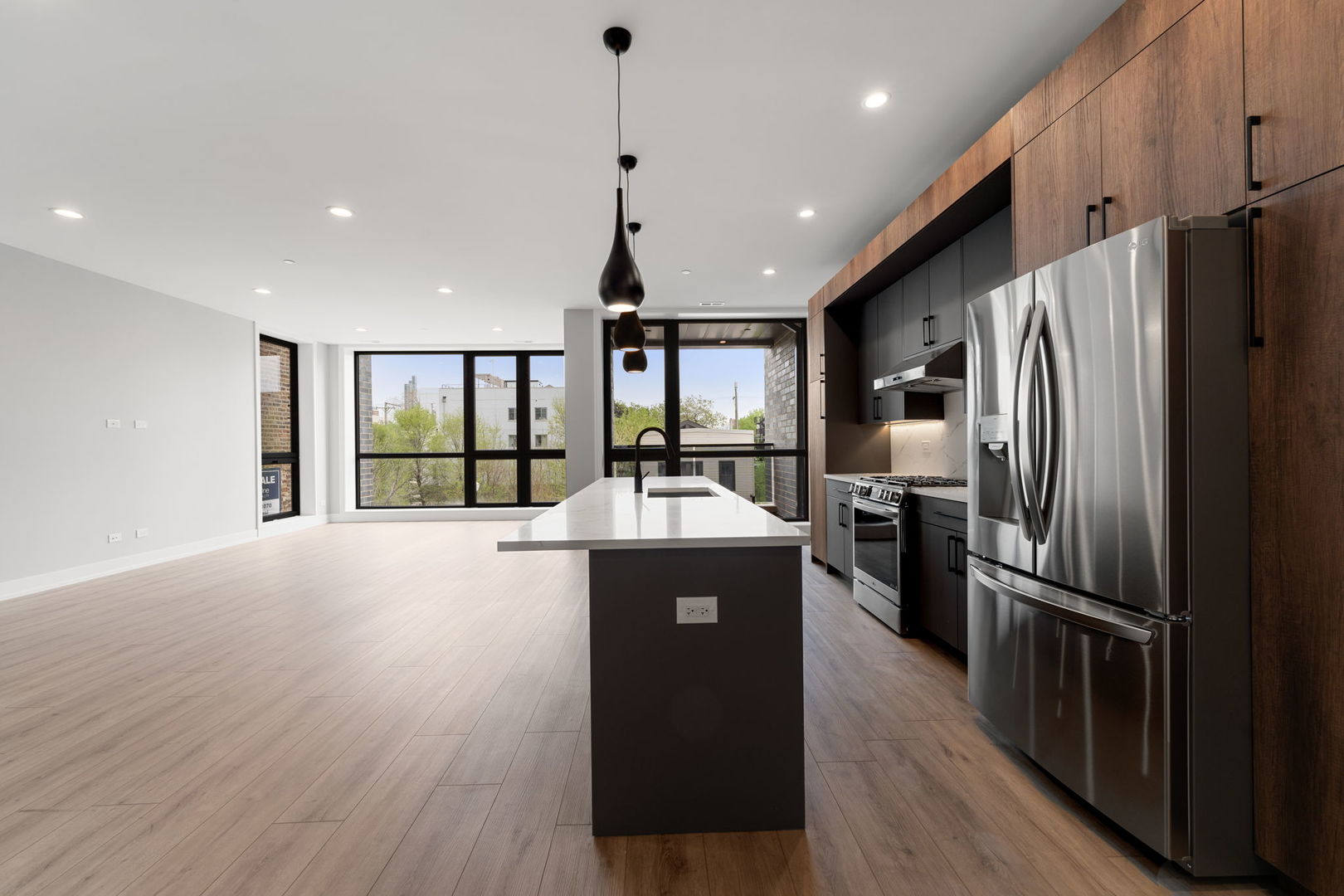 1718 S Halsted Street #201, Chicago, IL 60608
