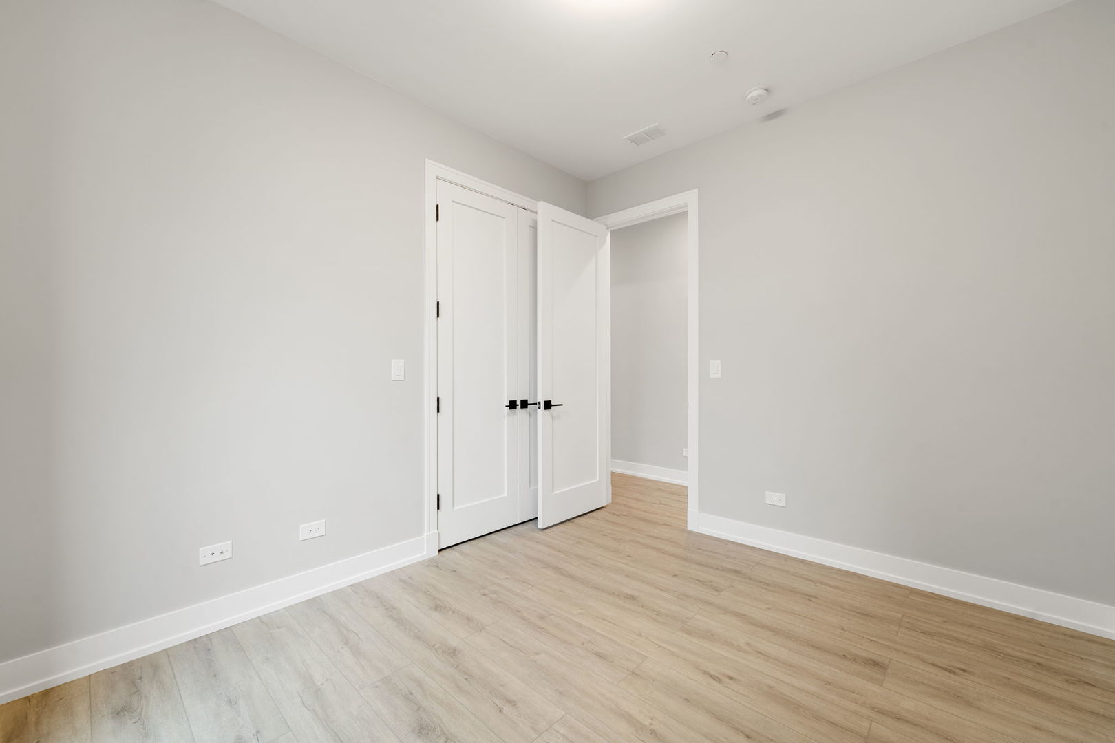 1718 S Halsted Street #201, Chicago, IL 60608