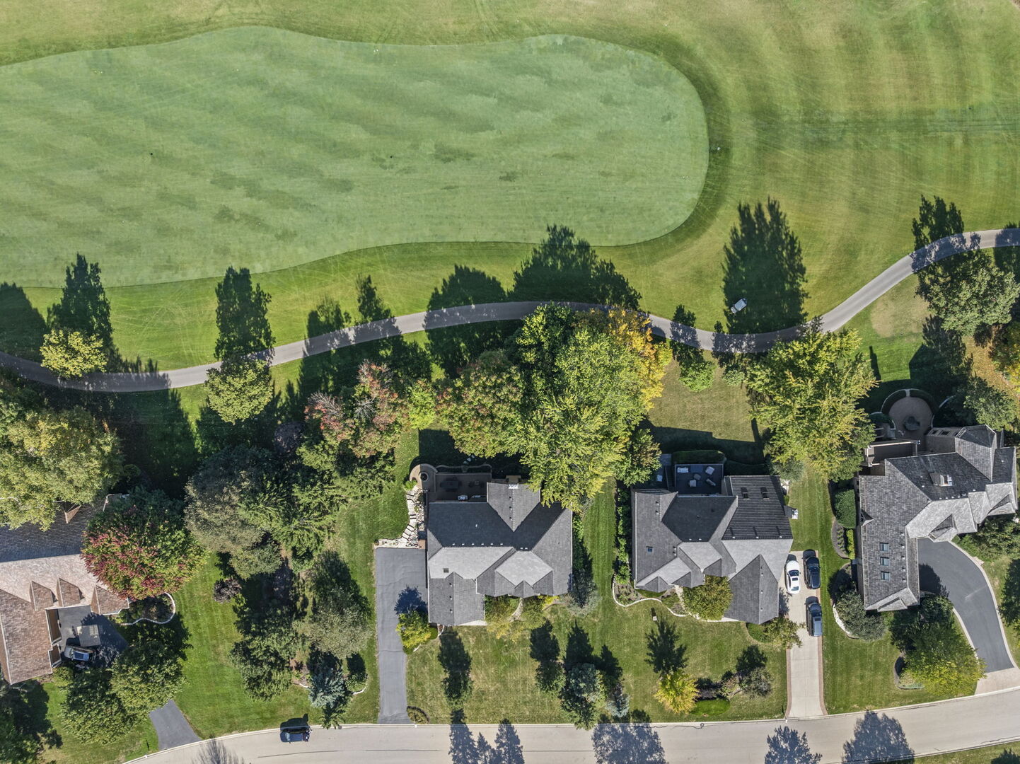 21787 W Vernon Ridge Drive, Mundelein, IL 60060