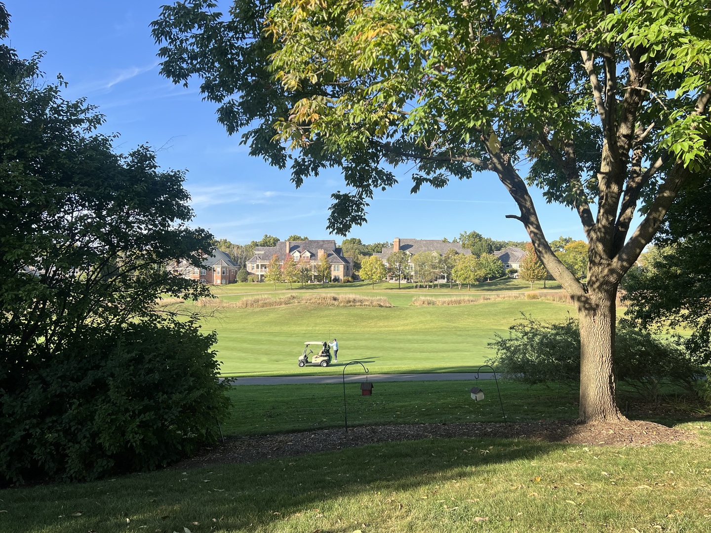 21787 W Vernon Ridge Drive, Mundelein, IL 60060