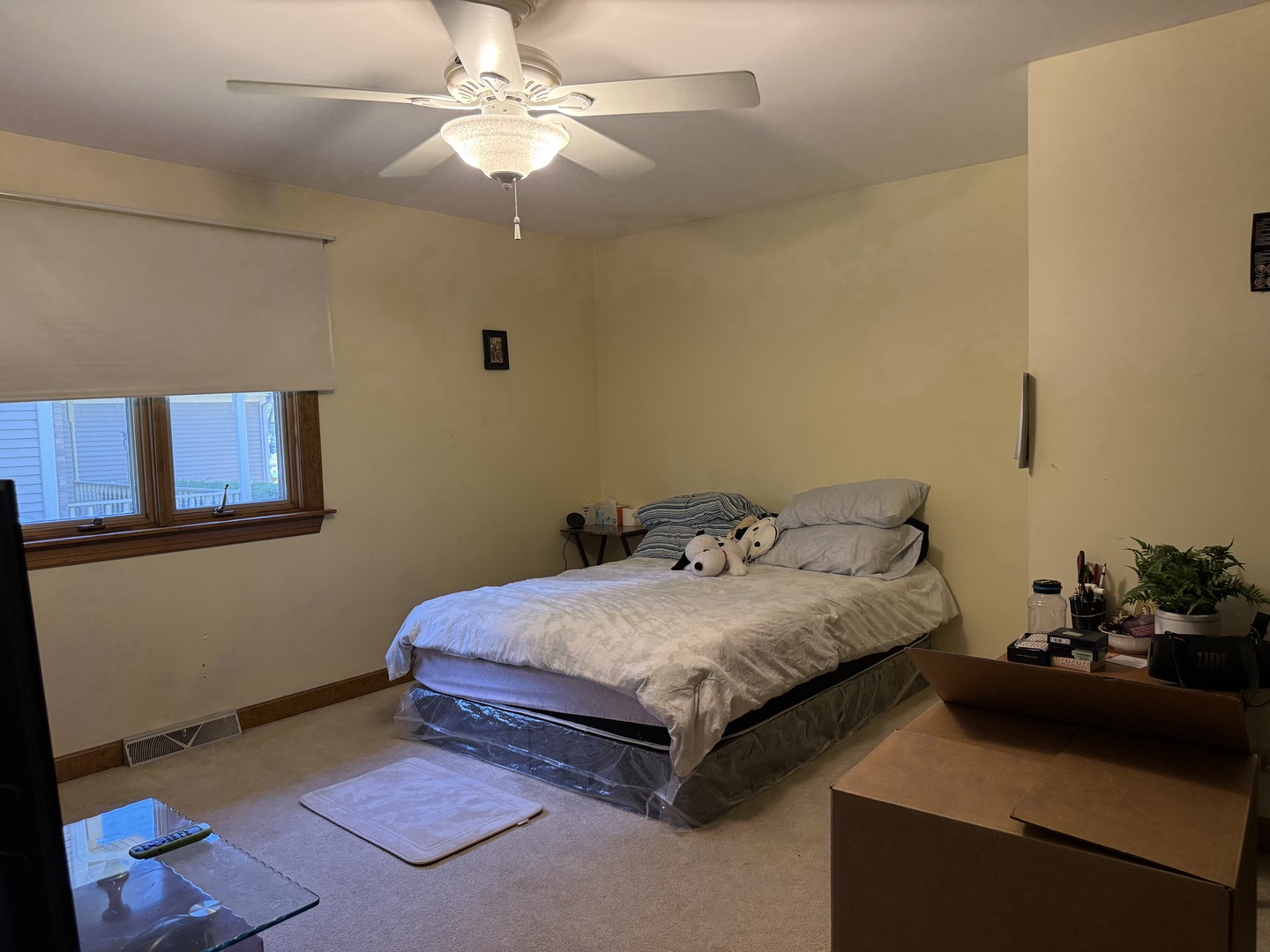 745 Donna Avenue, Aurora, IL 60505