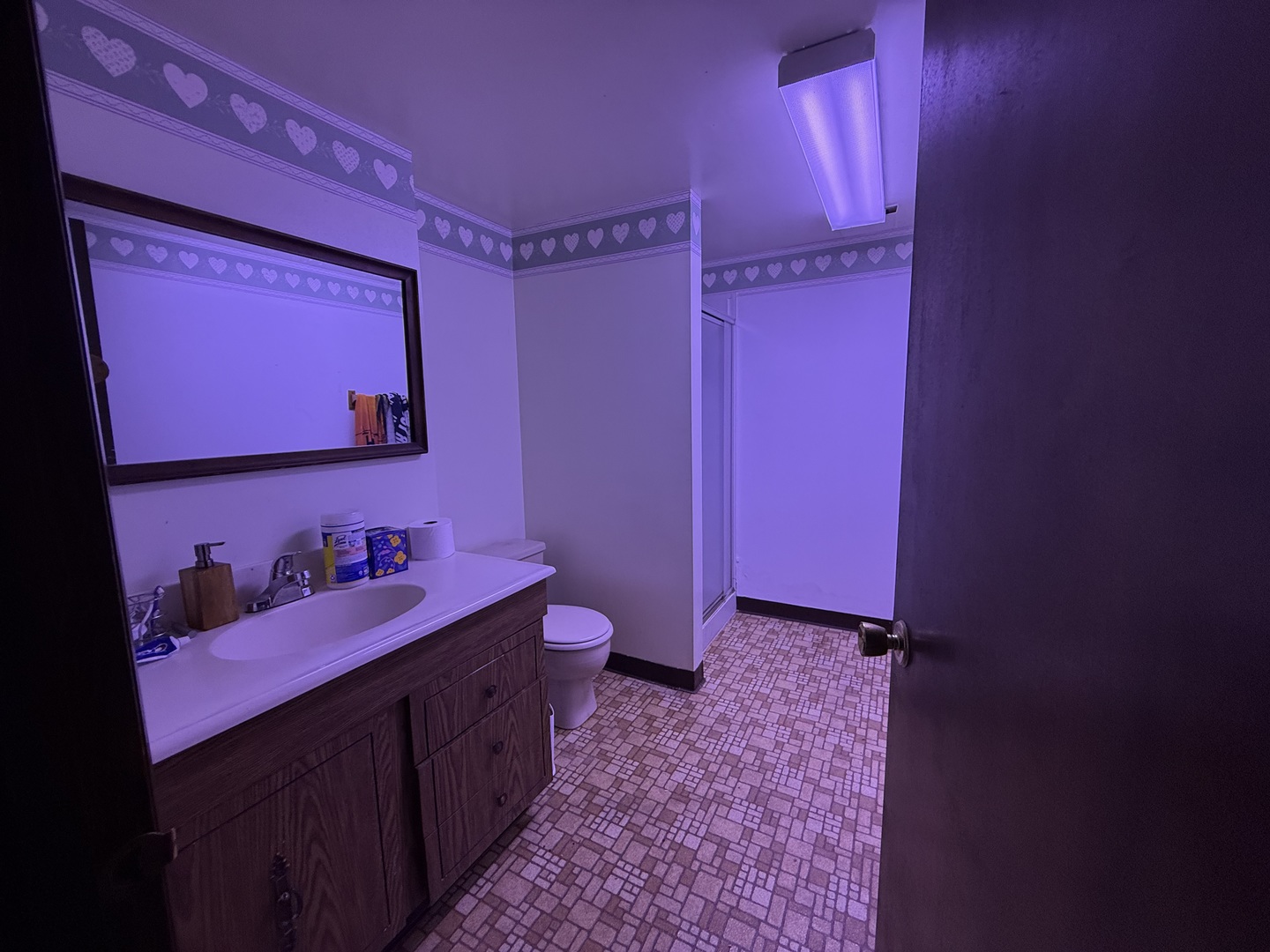 745 Donna Avenue, Aurora, IL 60505