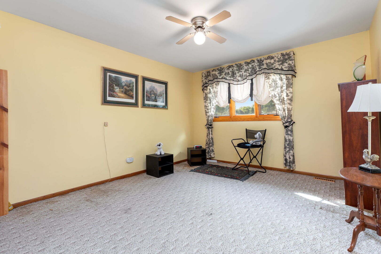 13226 Farm View Street, Homer Glen, IL 60491