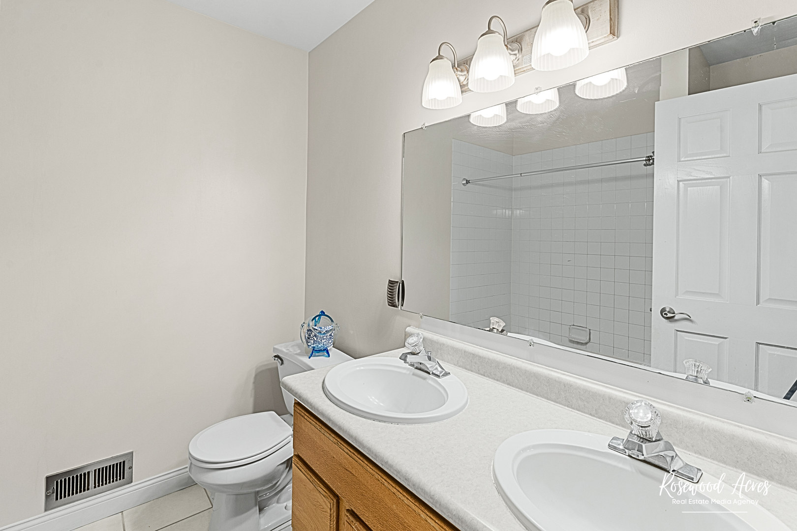 359 Rock Creek Drive, Manteno, IL 60950