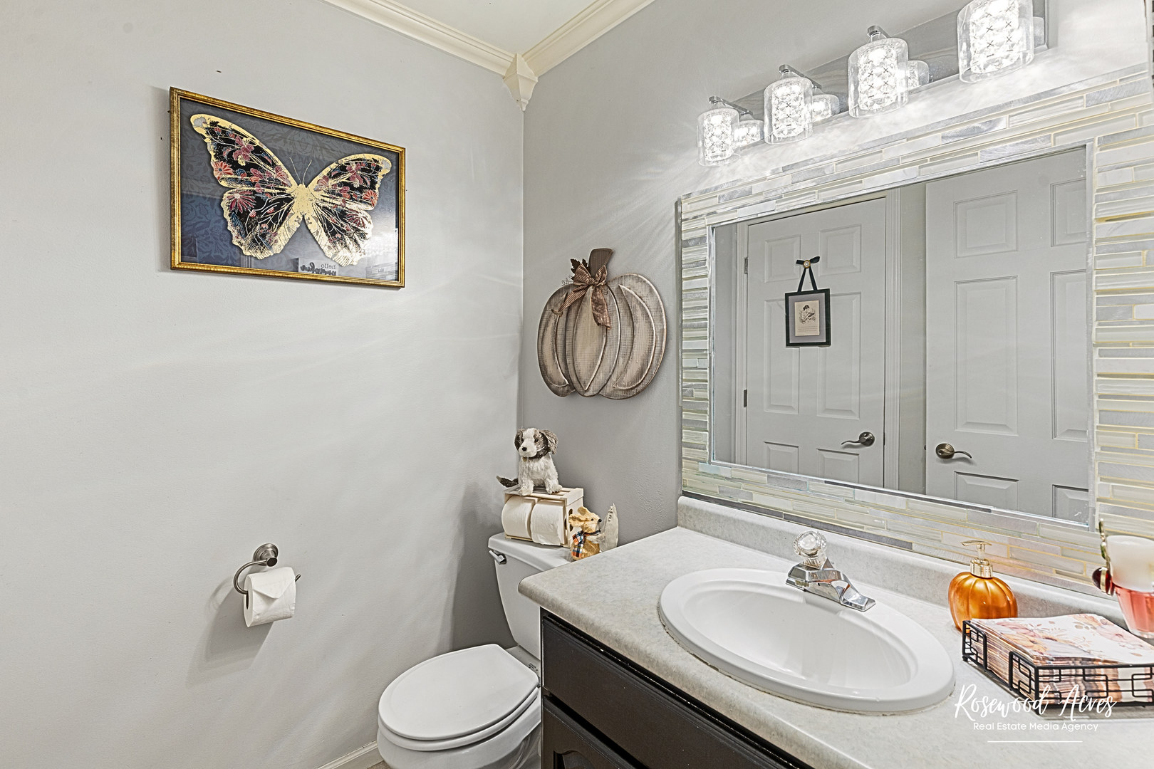 359 Rock Creek Drive, Manteno, IL 60950