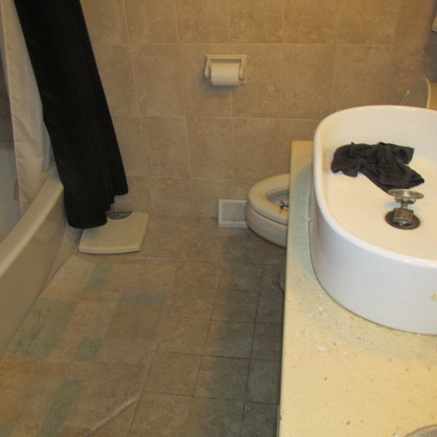 7904 Melvina Avenue, Burbank, IL 60459