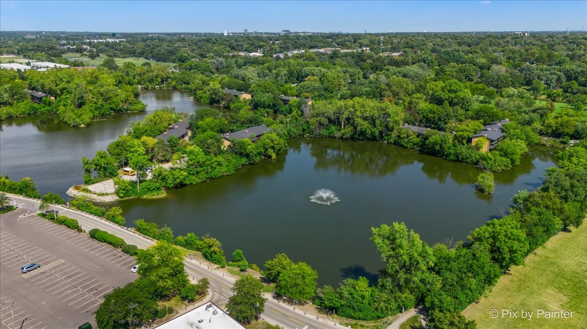 5820 Oakwood Drive #1a, Lisle, IL 60532