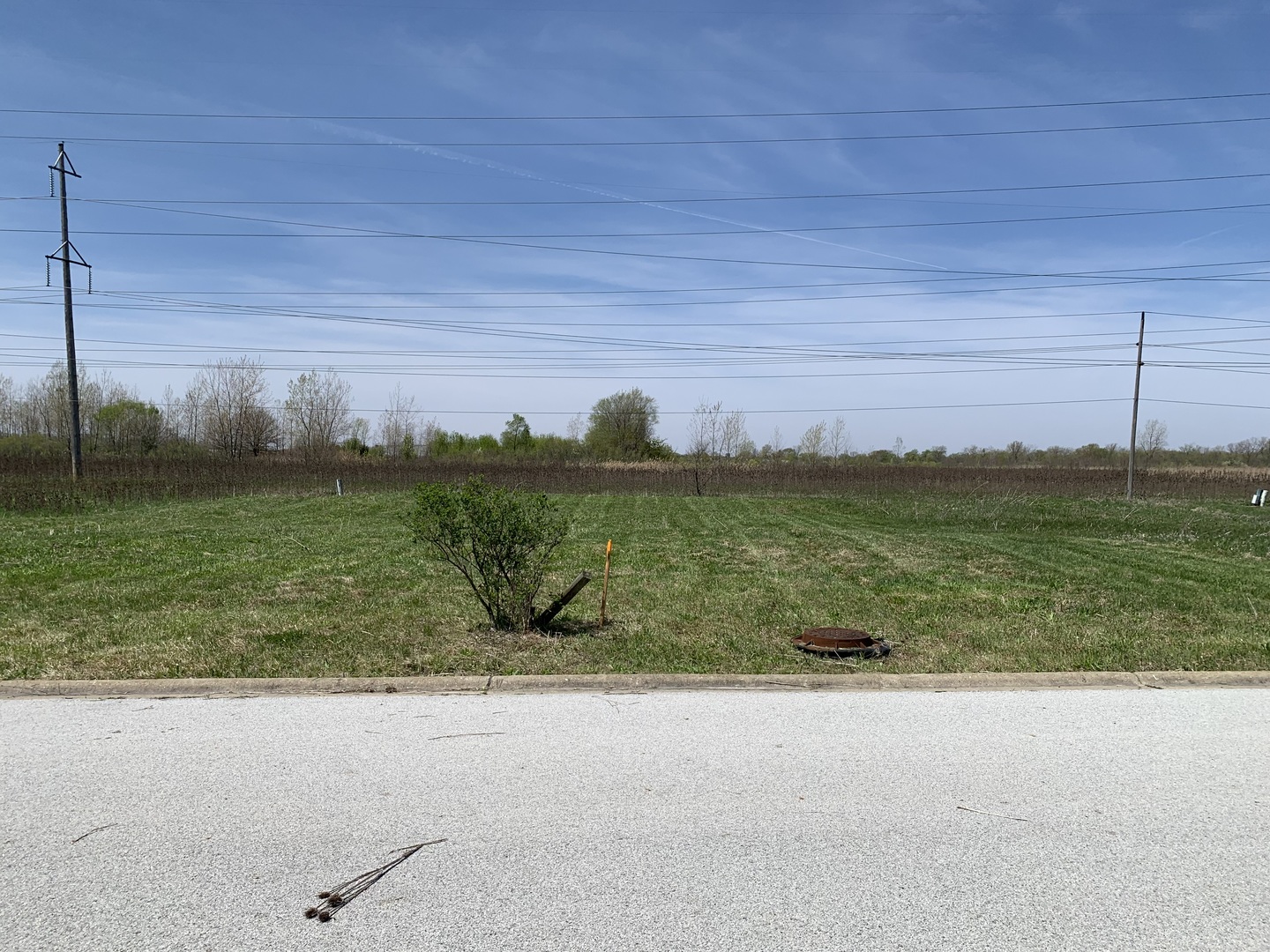 19700 Ambry Circle, Lynwood, IL 60411