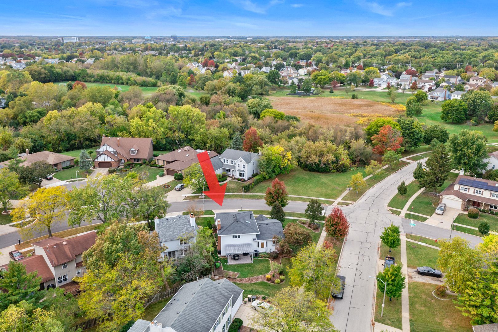 955 N Dexter Lane, Hoffman Estates, IL 60169