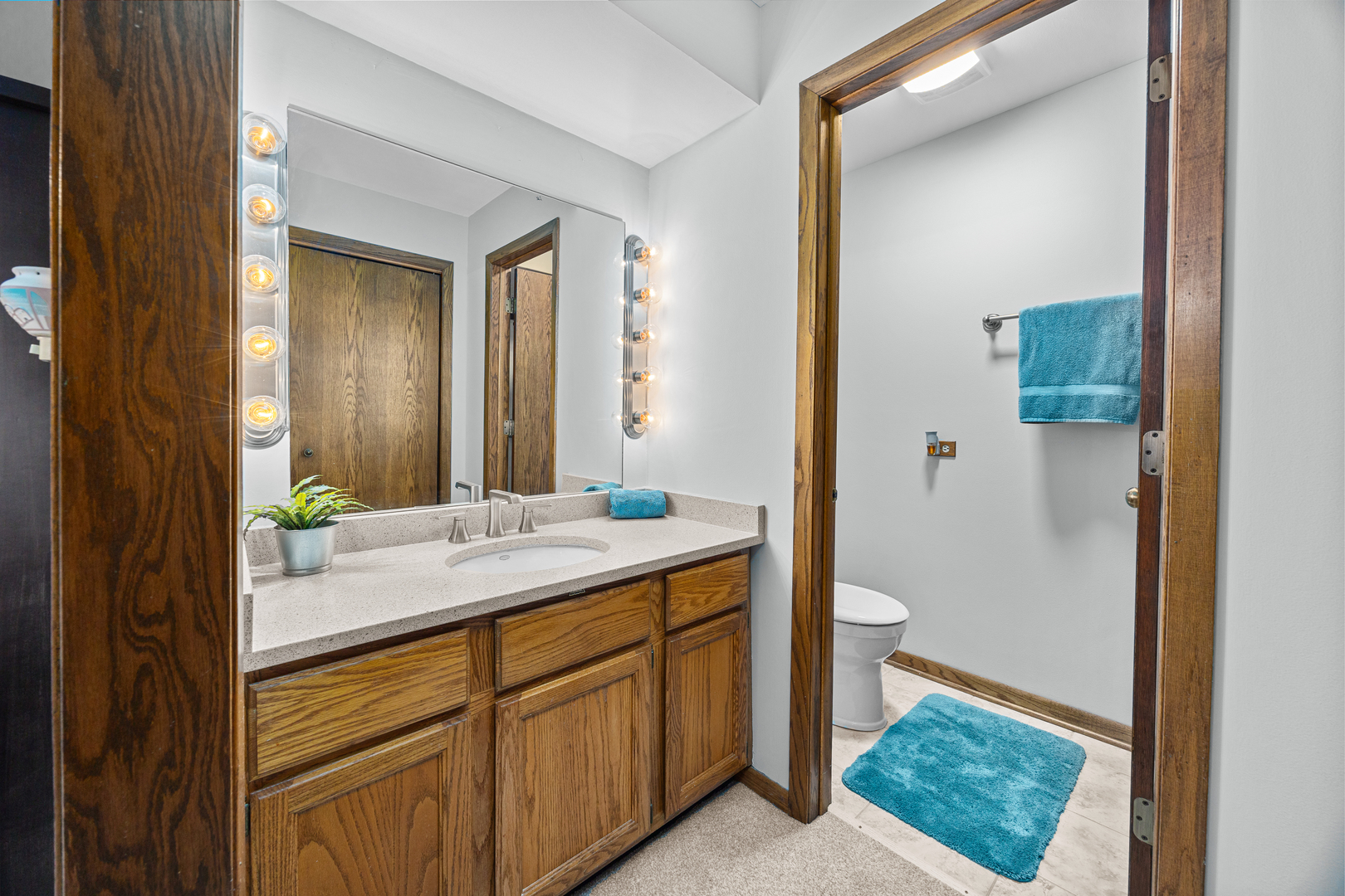 955 N Dexter Lane, Hoffman Estates, IL 60169