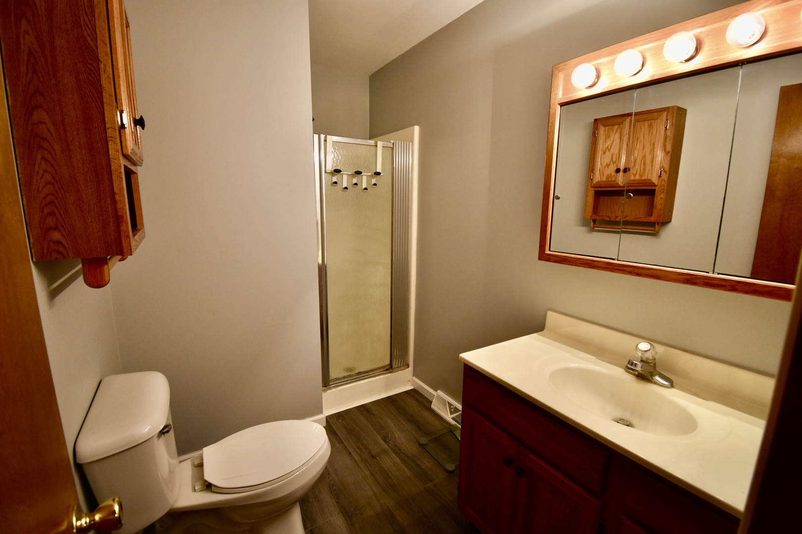 810 Tomahawk Court, Heyworth, IL 61745