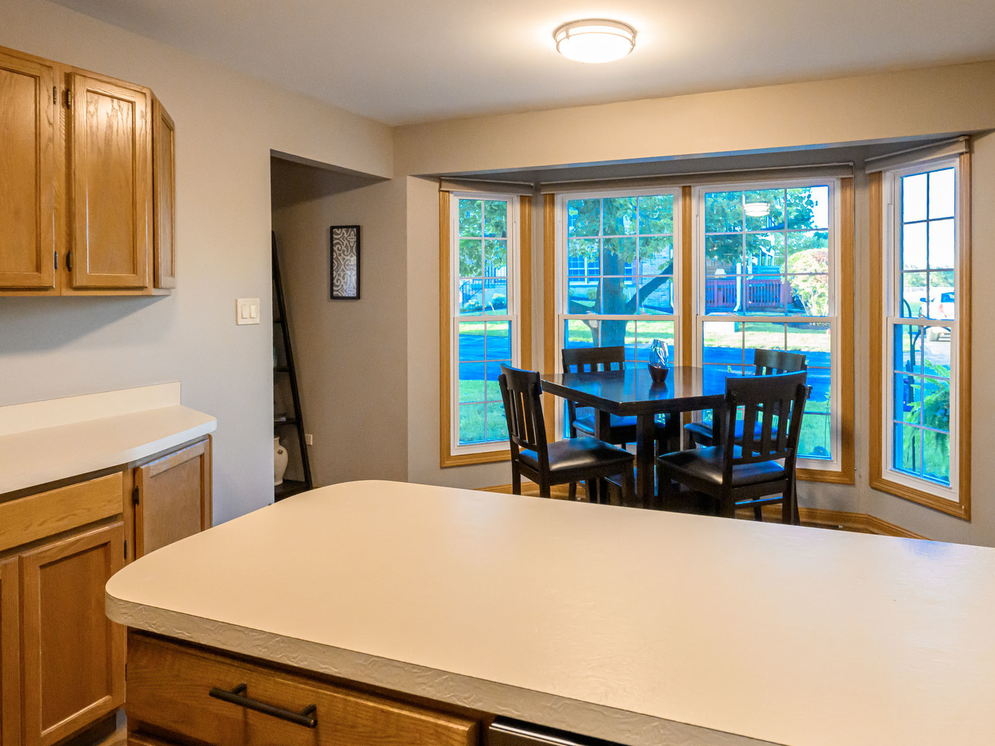 10111 Cambridge Drive #Court-G, Mokena, IL 60448