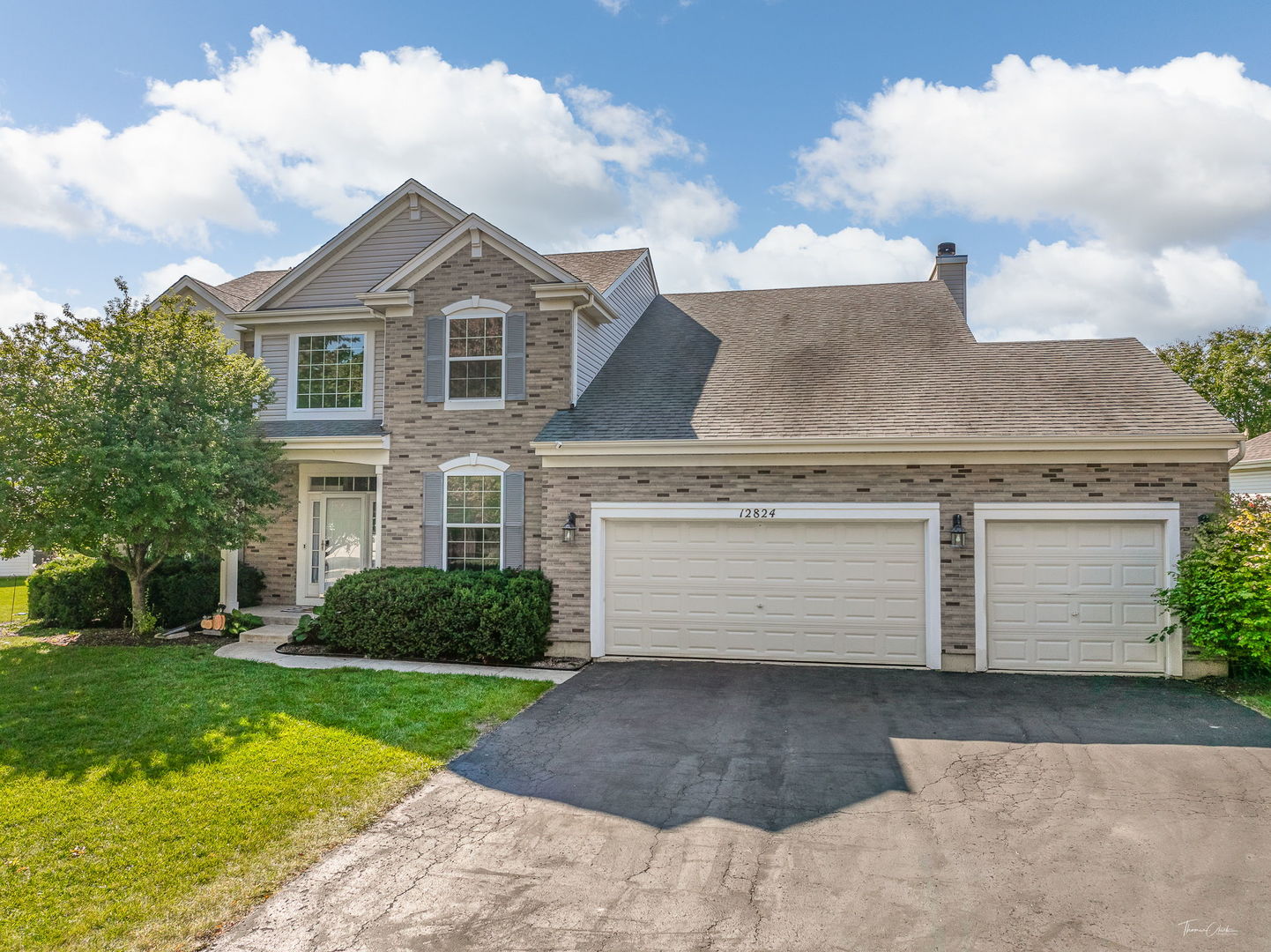 12824 Summer House Drive, Plainfield, IL 60585