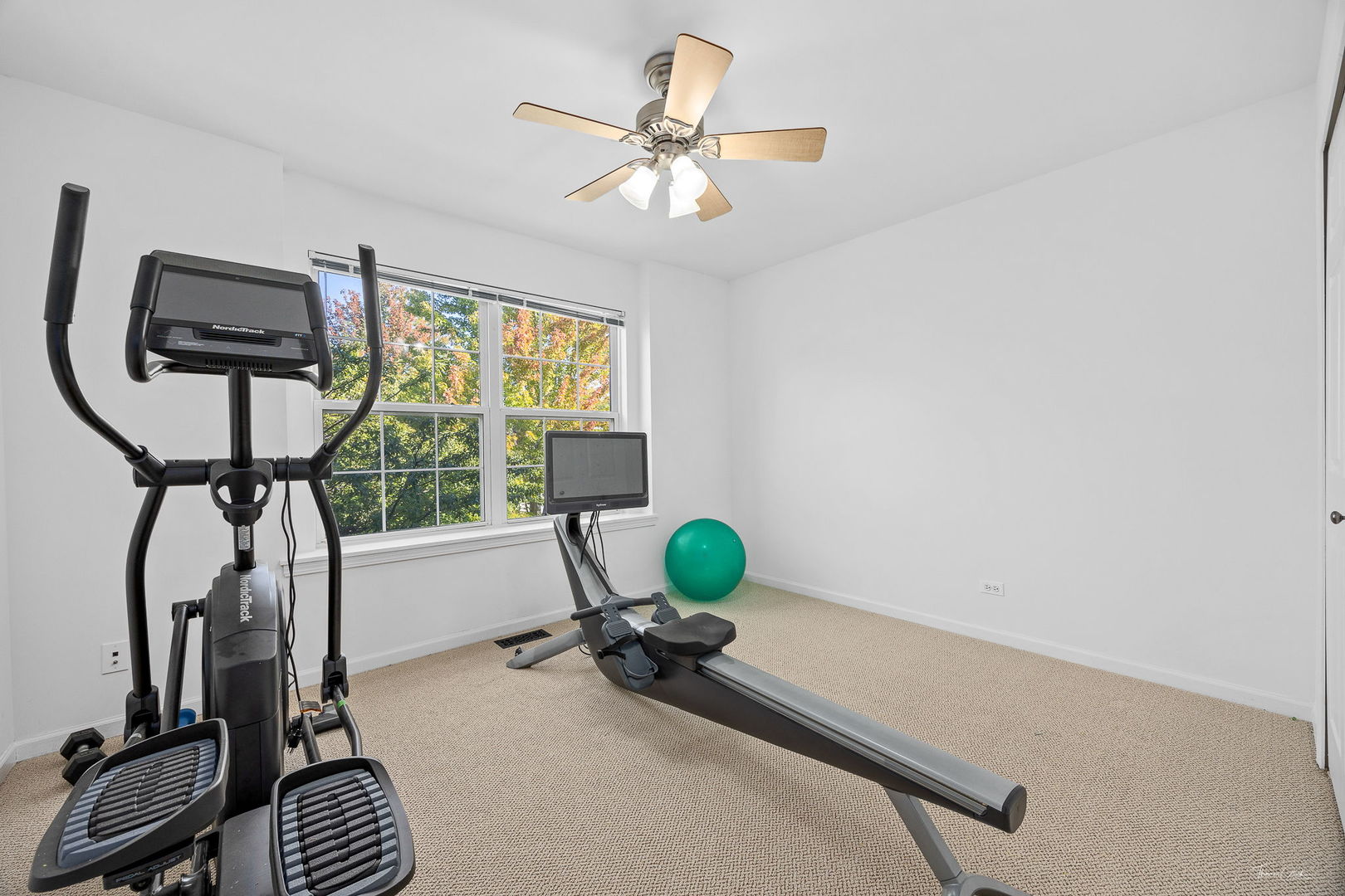 12824 Summer House Drive, Plainfield, IL 60585