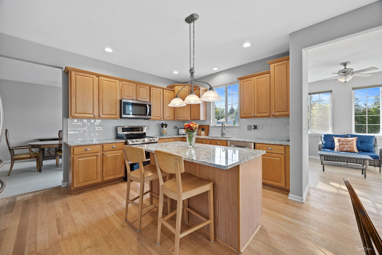 12824 Summer House Drive, Plainfield, IL 60585