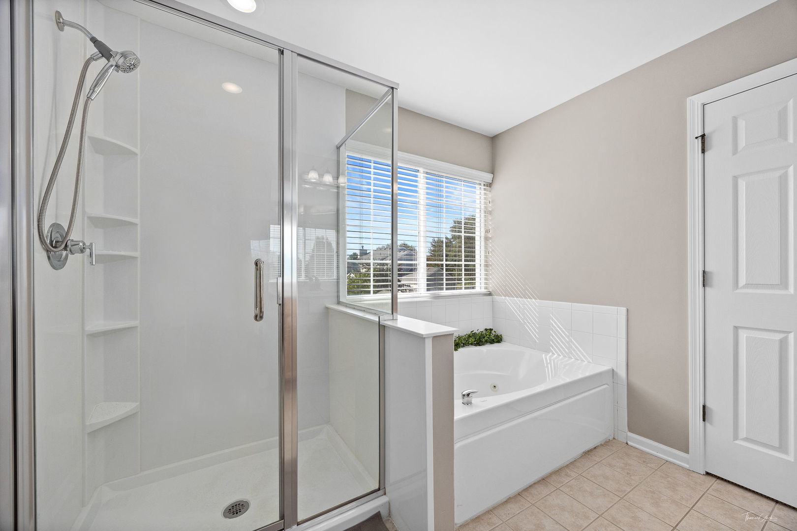 12824 Summer House Drive, Plainfield, IL 60585