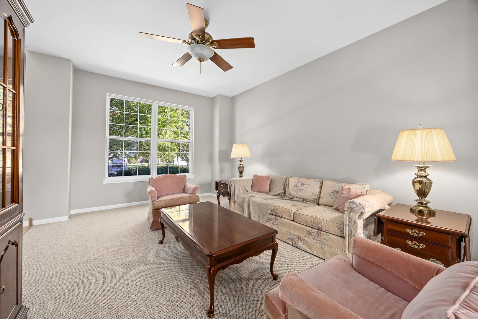 12824 Summer House Drive, Plainfield, IL 60585