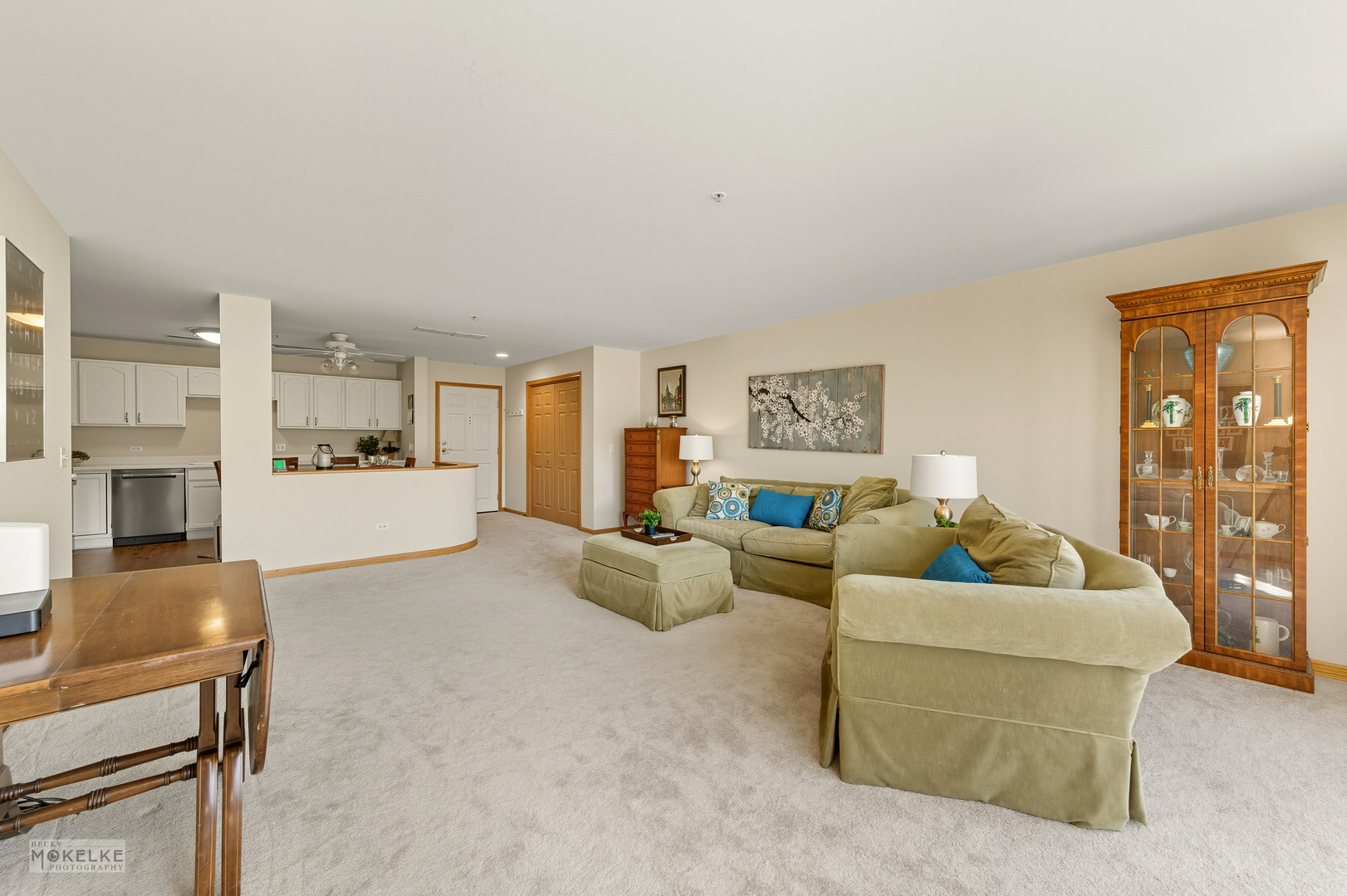 27 E Hattendorf Avenue #216, Roselle, IL 60172