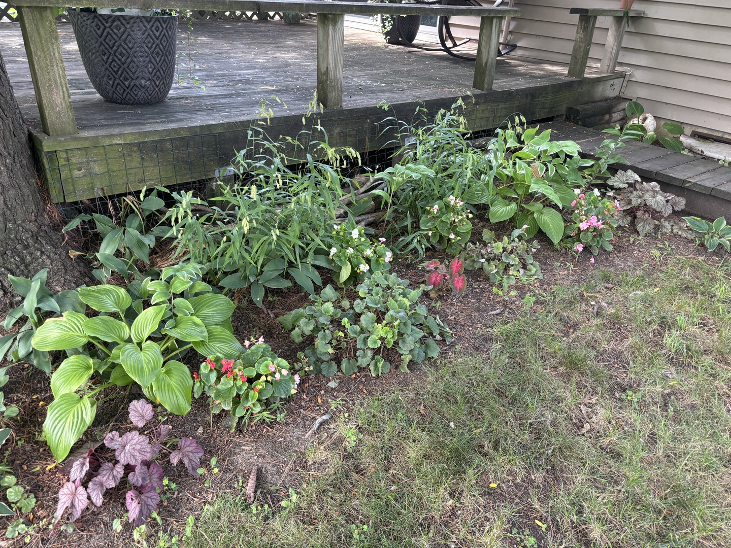 1429 Terry Road, Glendale Heights, IL 60139