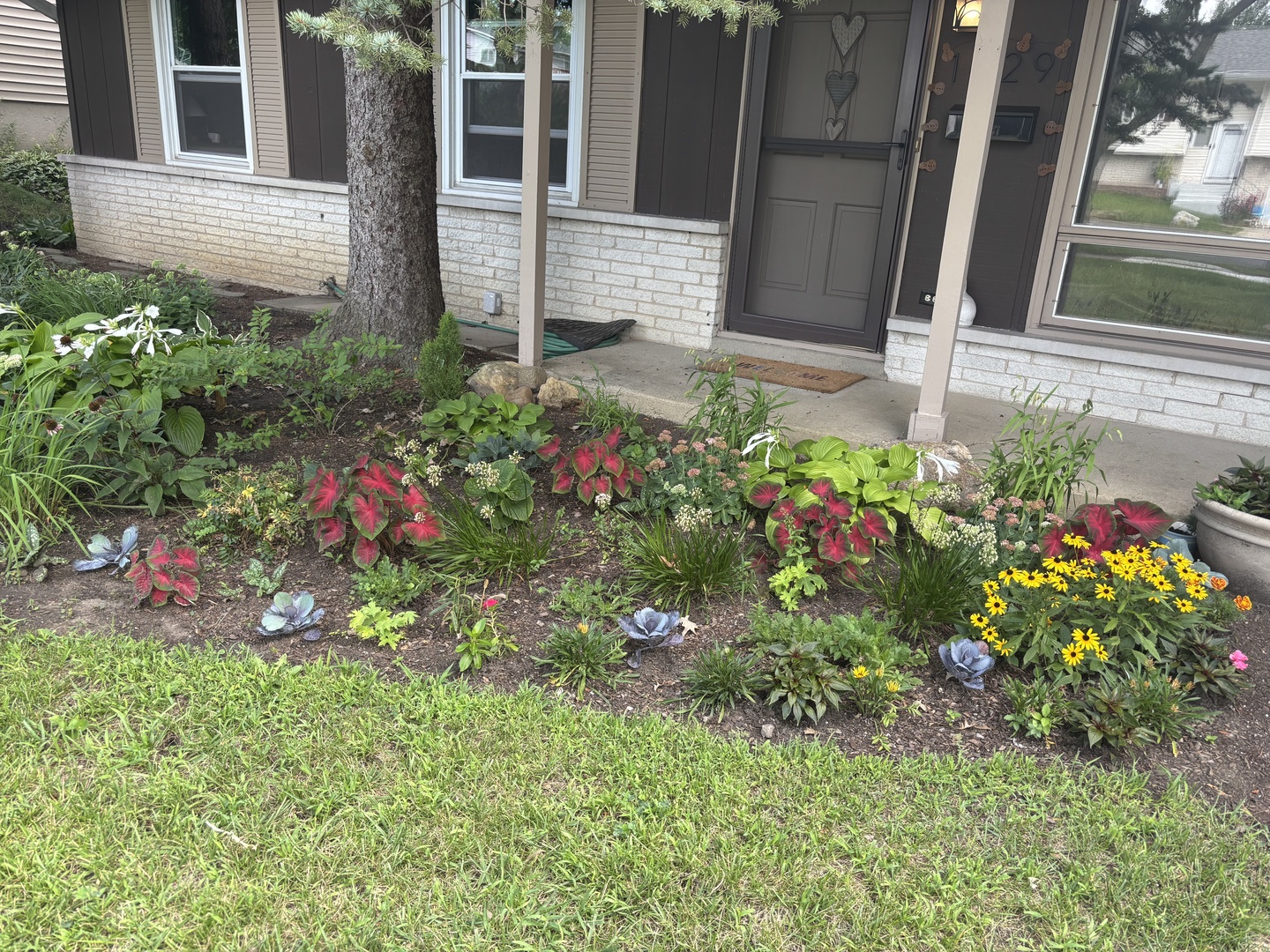 1429 Terry Road, Glendale Heights, IL 60139