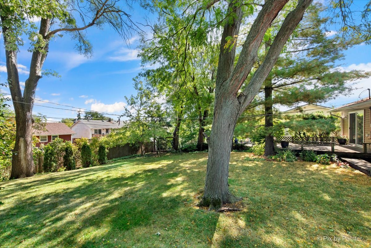 1429 Terry Road, Glendale Heights, IL 60139