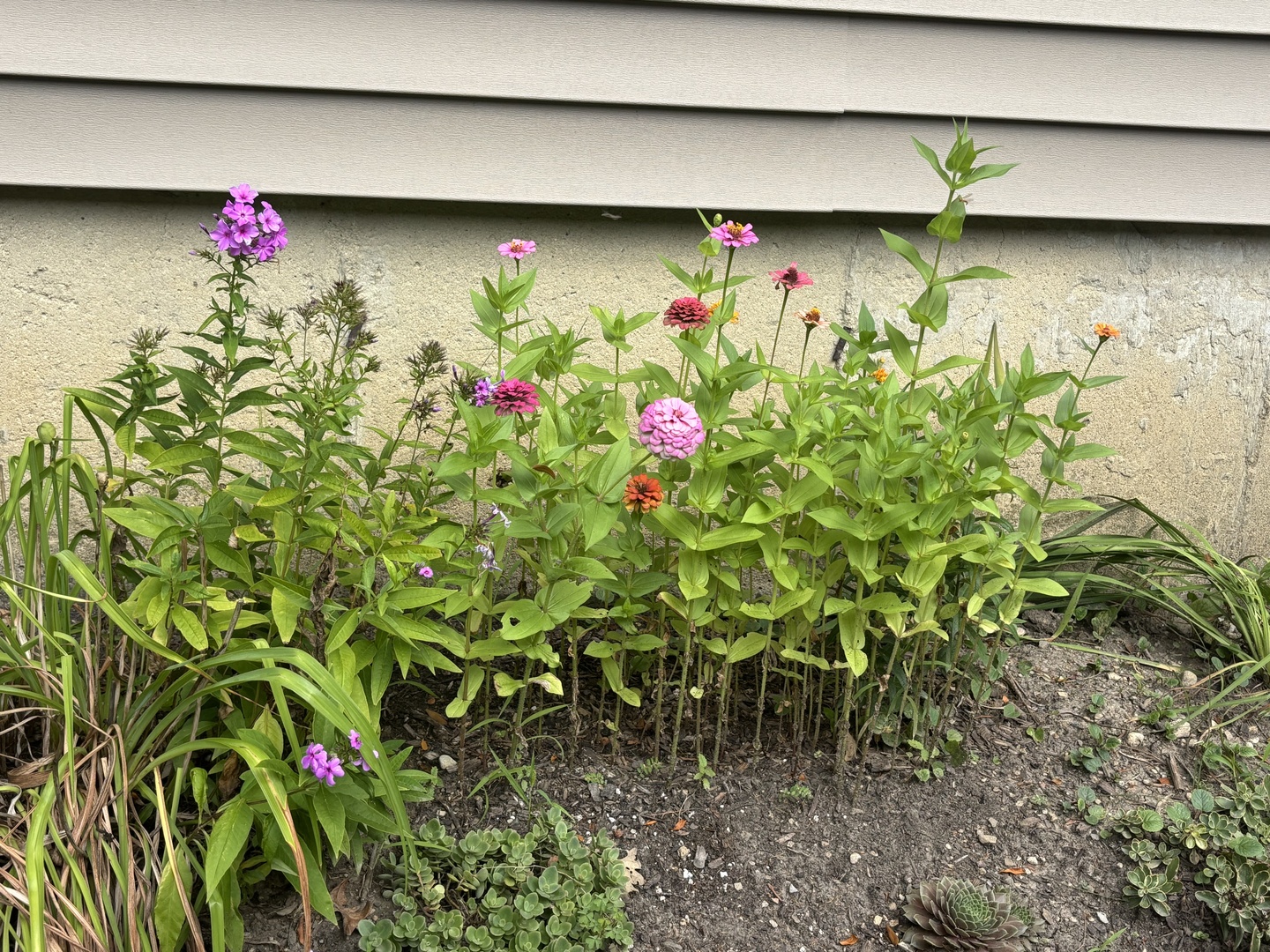 1429 Terry Road, Glendale Heights, IL 60139