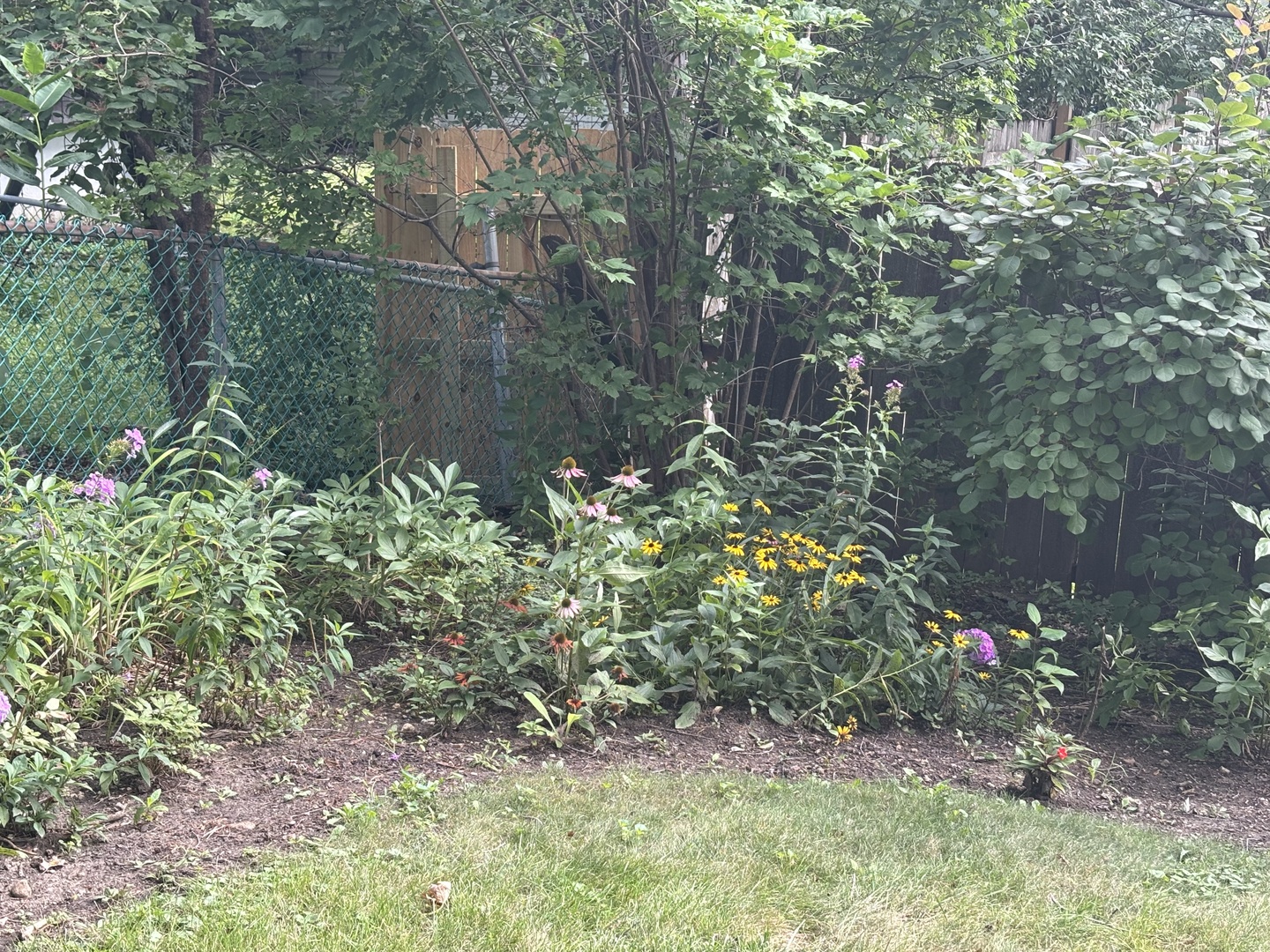 1429 Terry Road, Glendale Heights, IL 60139