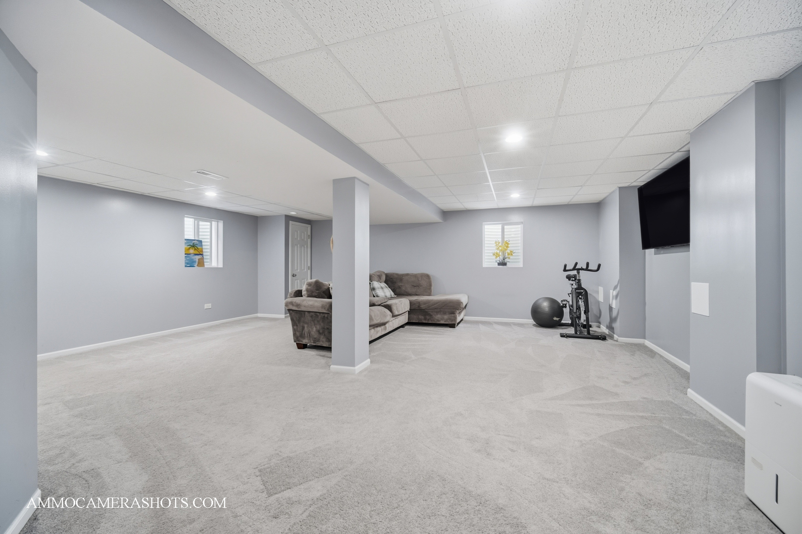 12154 Pear Tree Way, Plainfield, IL 60585