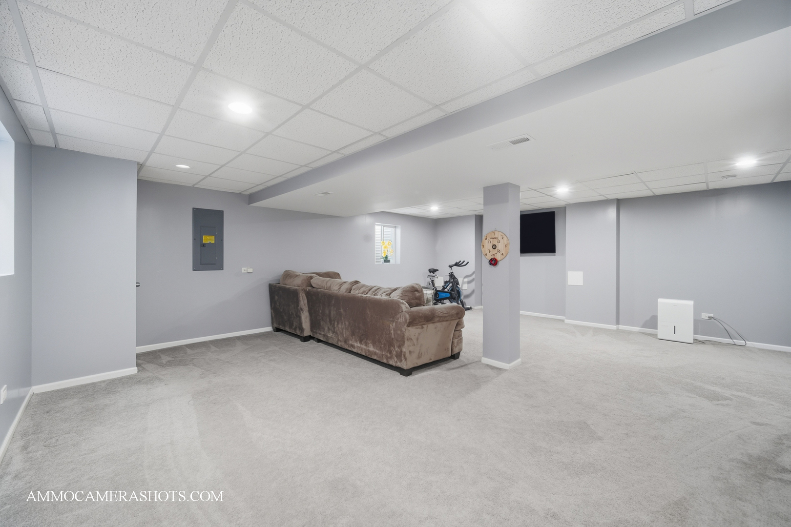 12154 Pear Tree Way, Plainfield, IL 60585