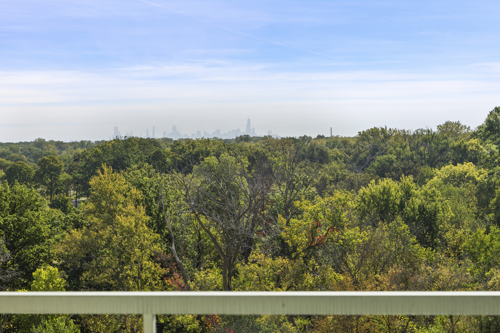 6815 N Milwaukee Avenue #702, Niles, IL 60714