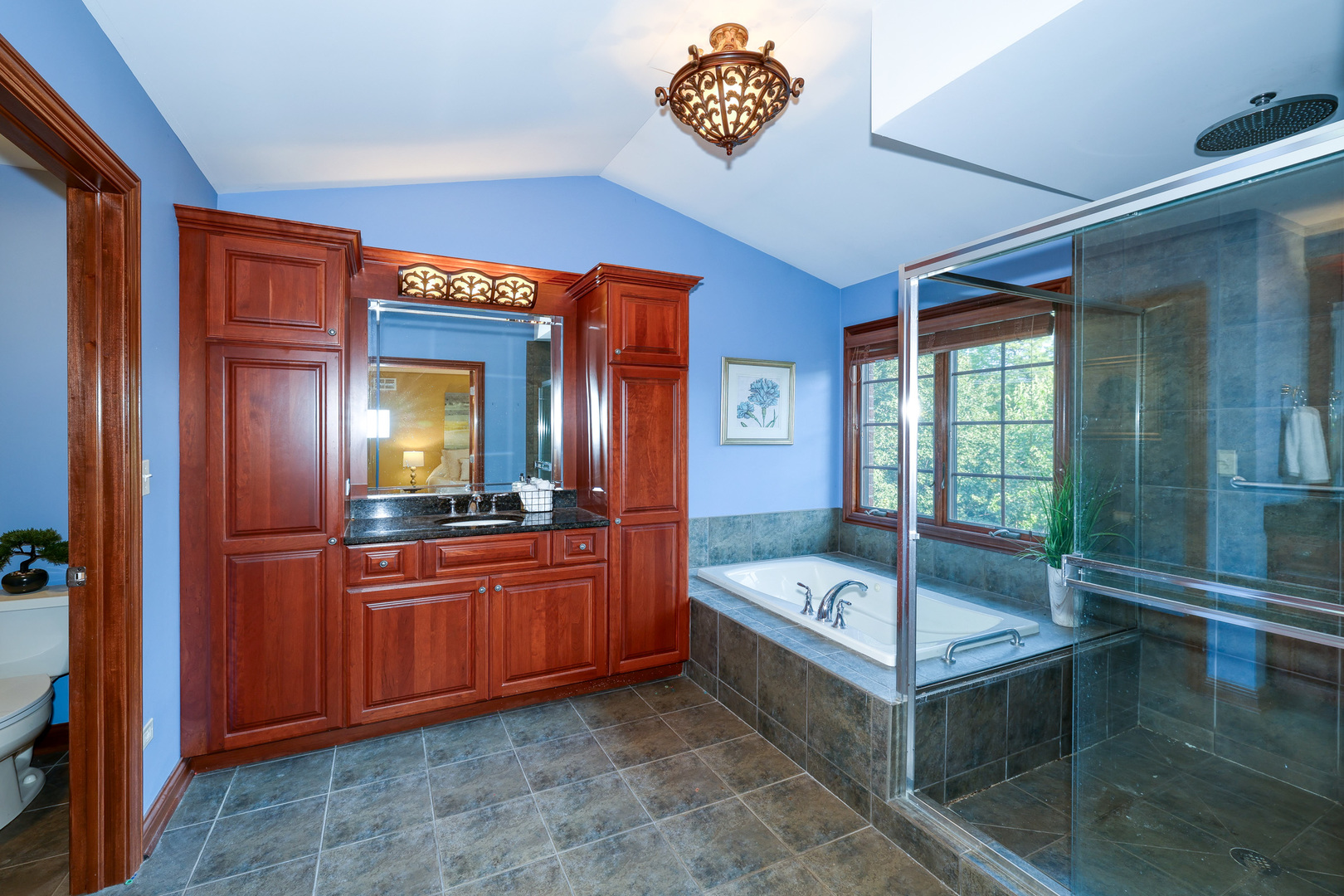 315 Arbor Glen Boulevard, Schaumburg, IL 60195