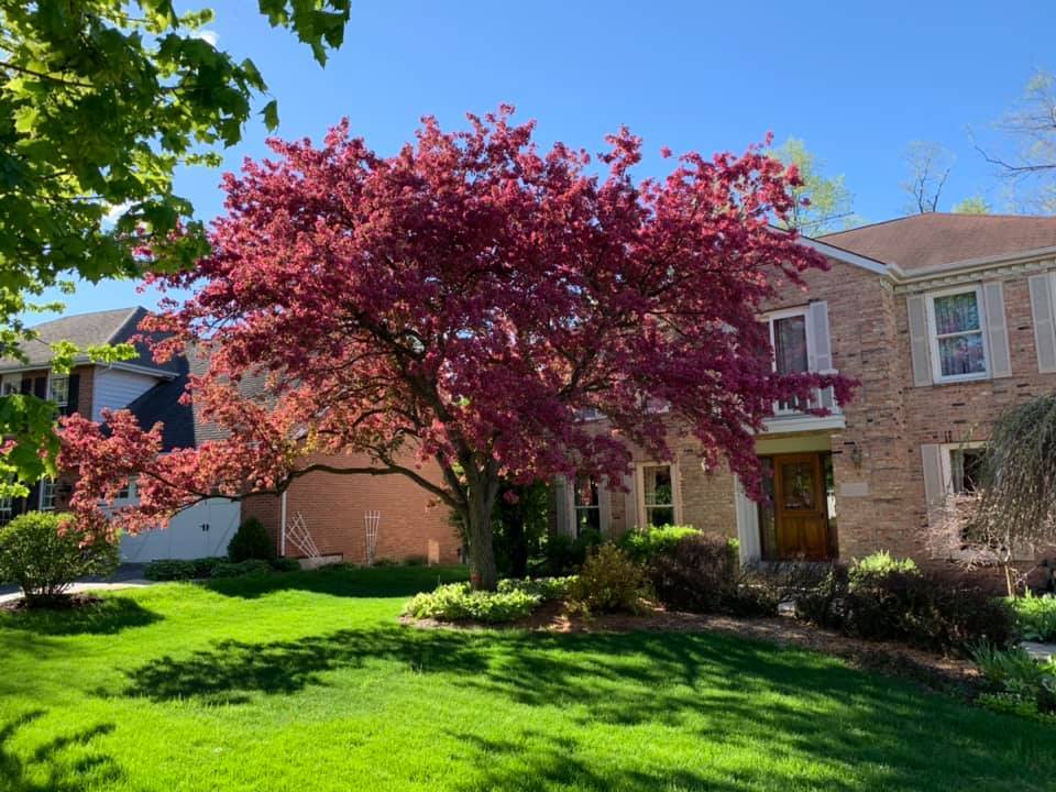 508 Braemar Avenue, Naperville, IL 60563