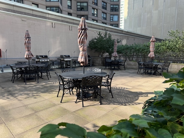 400 E Ohio Street #3904, Chicago, IL 60611