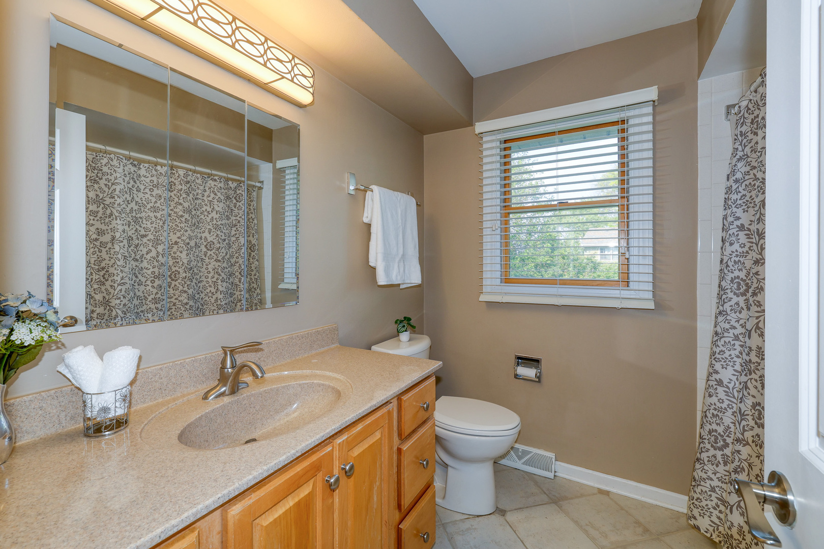 6S503 Bridlespur Drive, Naperville, IL 60540