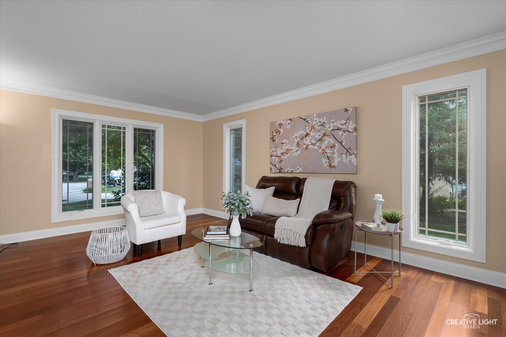 1112 Saratoga Court, Naperville, IL 60564