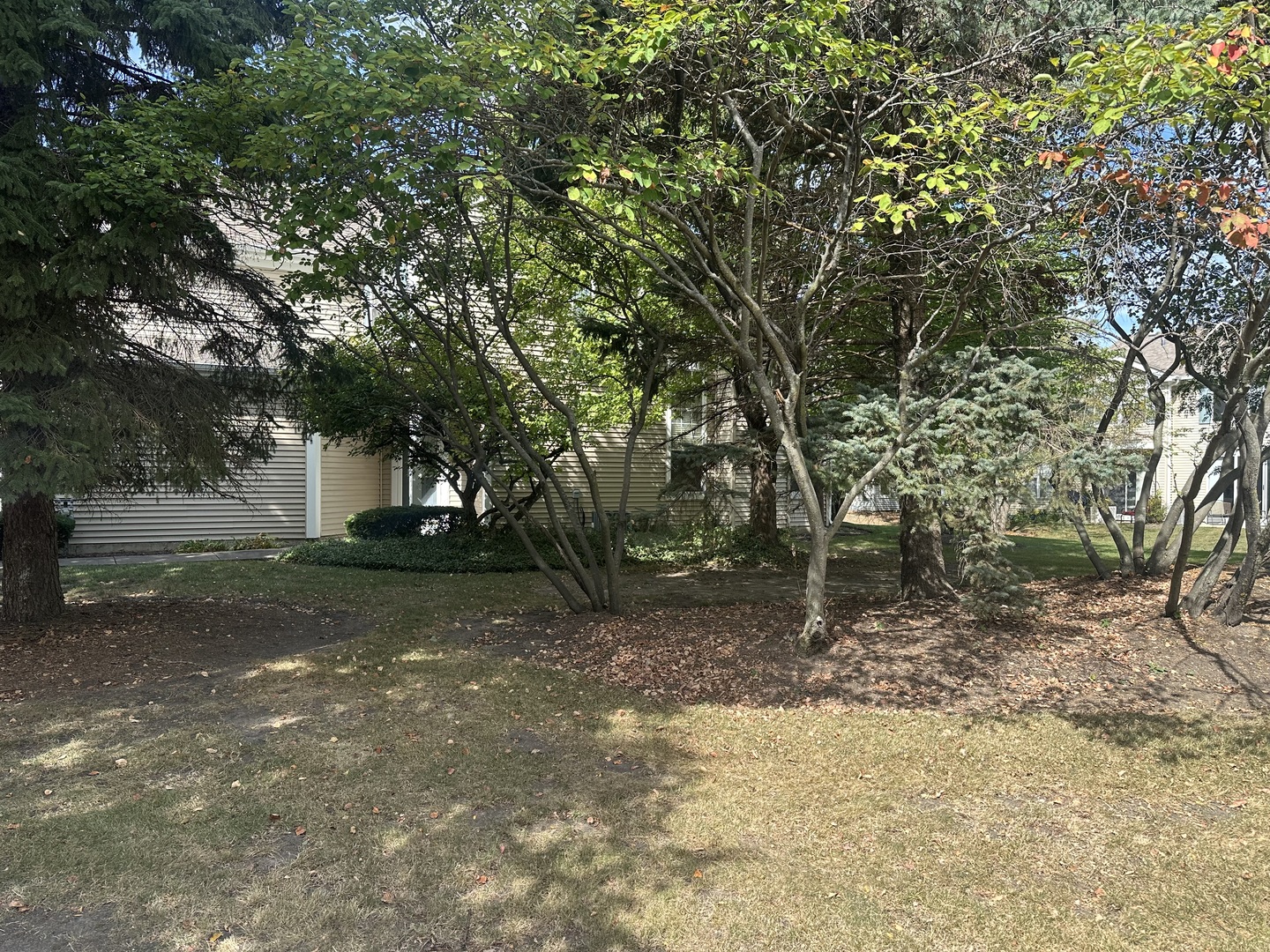 1464 Division Court, St. Charles, IL 60174