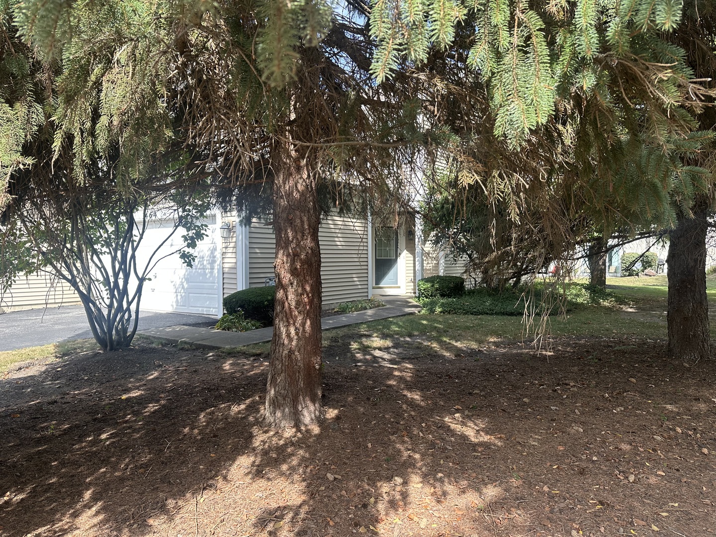 1464 Division Court, St. Charles, IL 60174