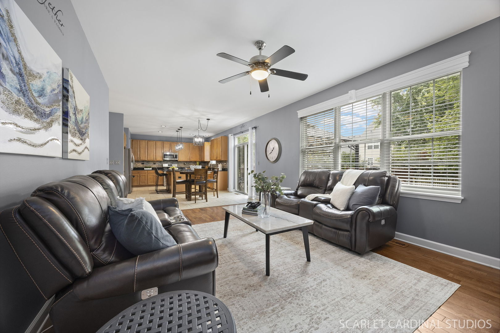 13905 Trillium Lane, Plainfield, IL 60544