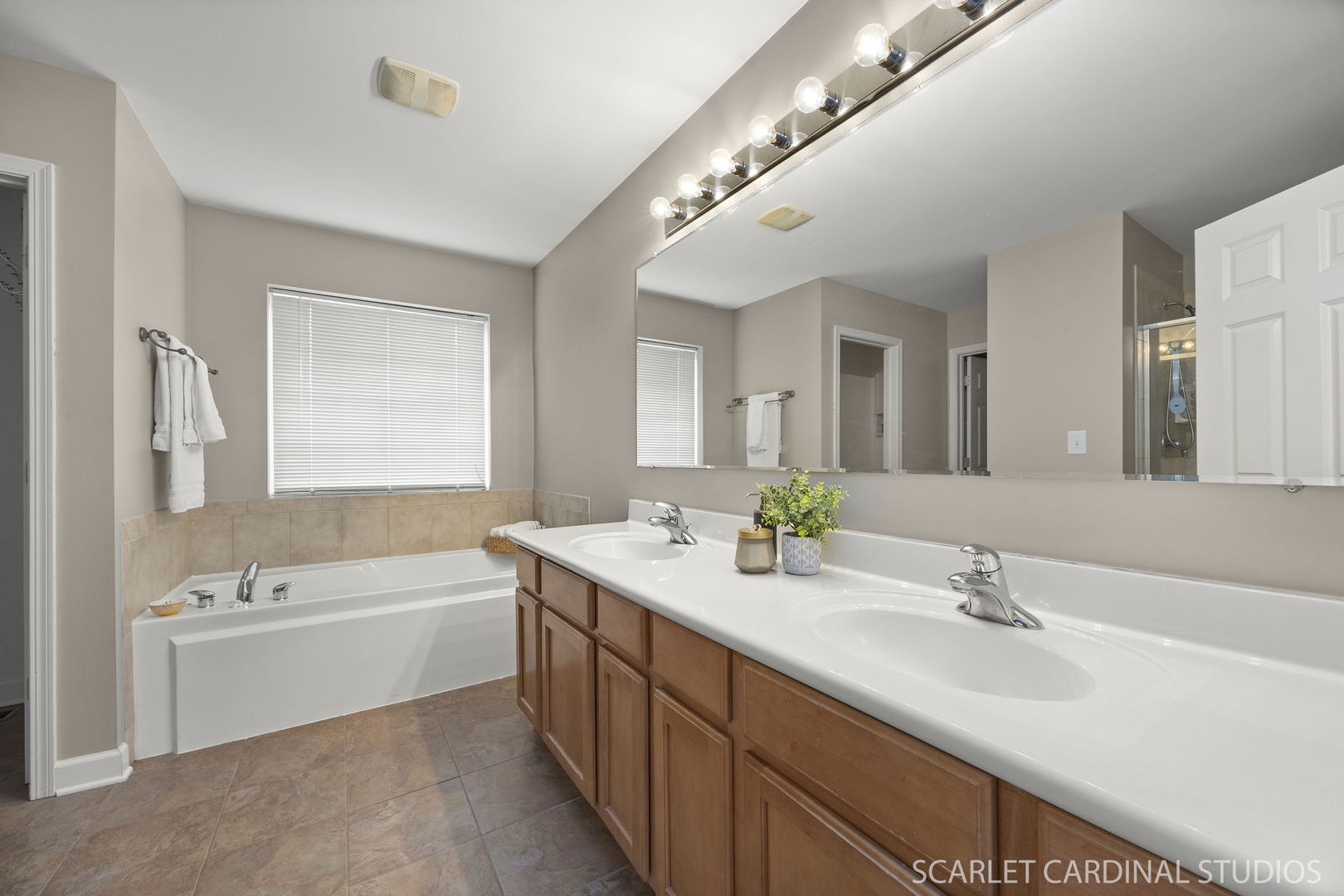 13905 Trillium Lane, Plainfield, IL 60544