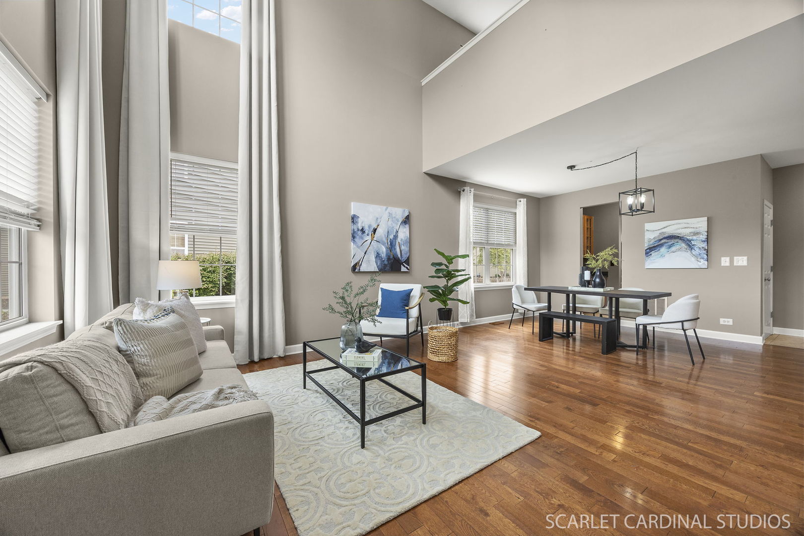 13905 Trillium Lane, Plainfield, IL 60544