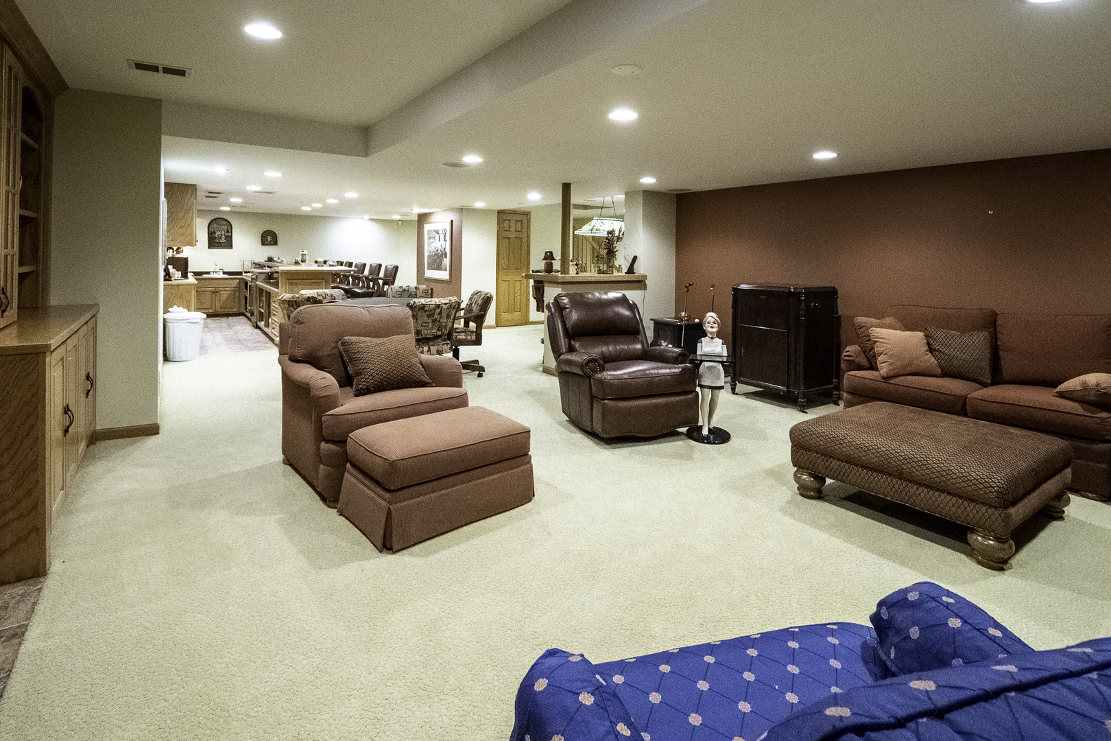 4214 Venard Road, Downers Grove, IL 60515