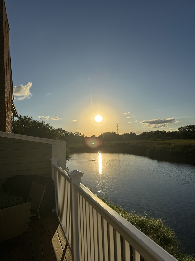 248 W Fairview Way #4, Palatine, IL 60067