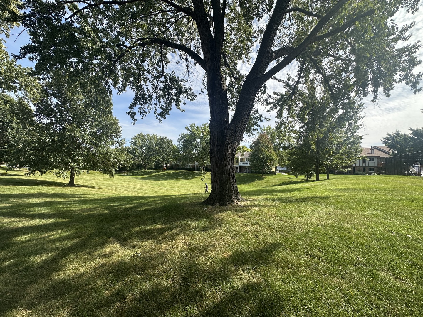 22 Waterbury Lane #N1, Schaumburg, IL 60193