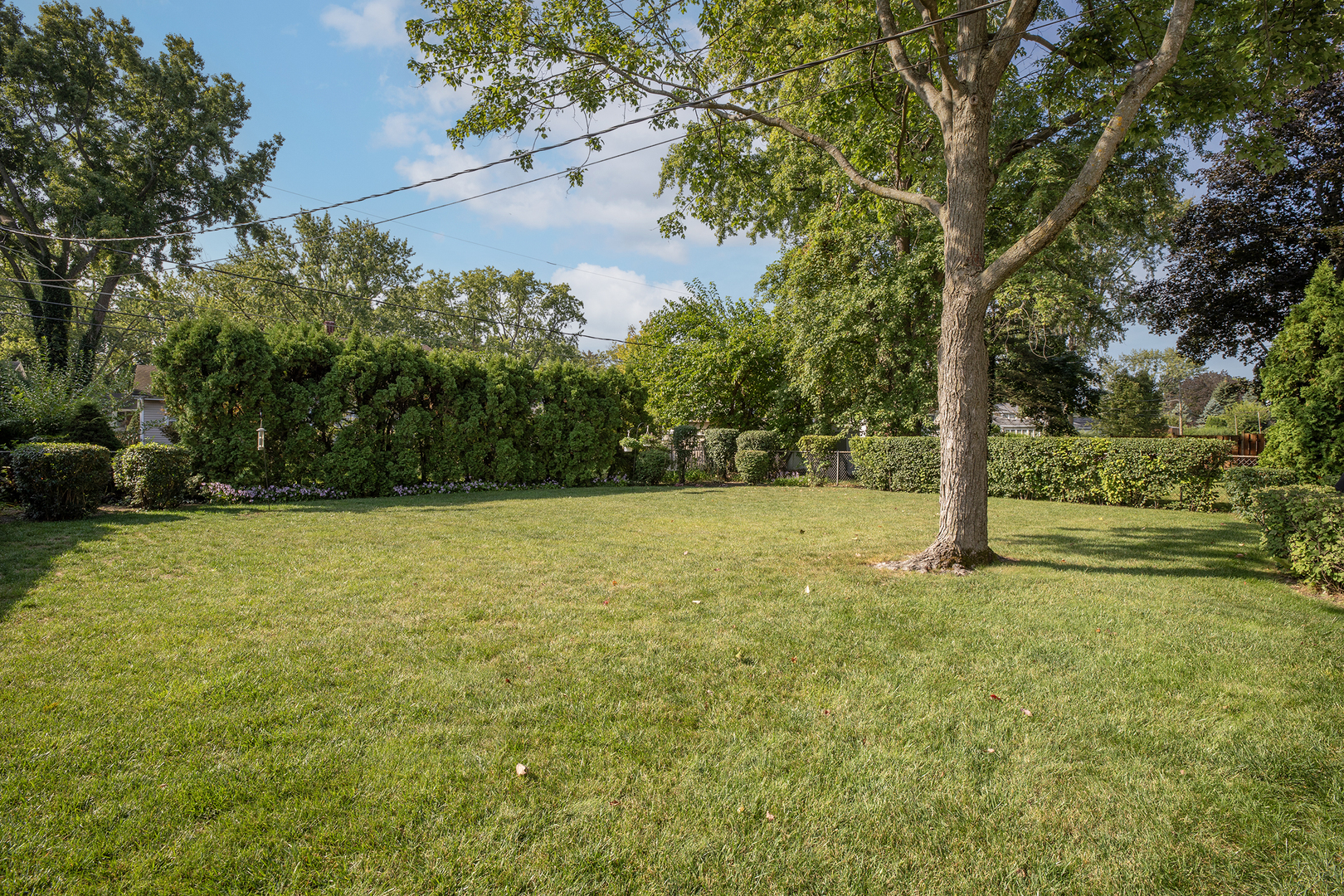 1819 E Wood Lane, Mount Prospect, IL 60056