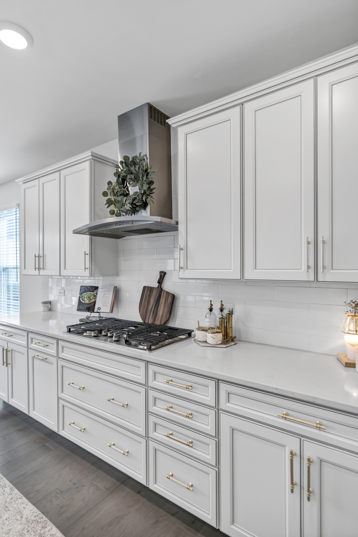 1833 Coralito Lane, Elgin, IL 60124