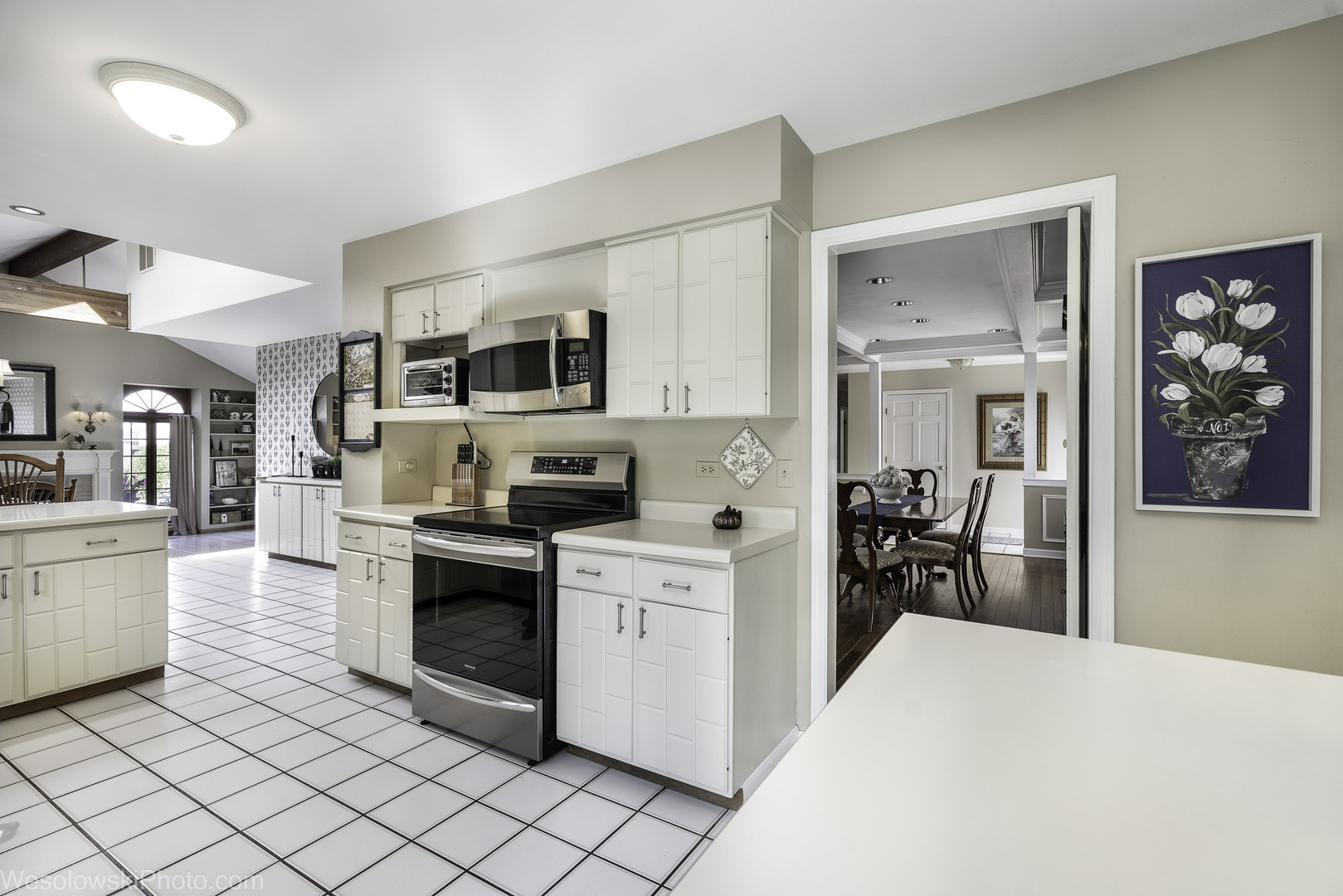 1622 E Greenwood Drive, Mount Prospect, IL 60056