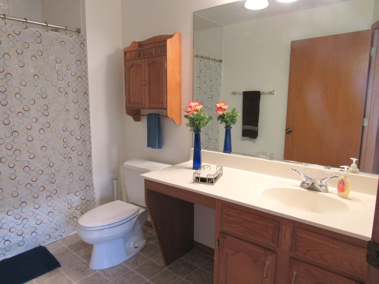 28 ASHBURN Court #Z1, Schaumburg, IL 60193